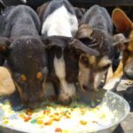 {"remix_data":[],"remix_entry_point":"challenges","source_tags":["local"],"origin":"unknown","total_draw_time":0,"total_draw_actions":0,"layers_used":0,"brushes_used":0,"photos_added":0,"total_editor_actions":{},"tools_used":{"ai_enhance":1,"remove":1},"is_sticker":false,"edited_since_last_sticker_save":true,"containsFTESticker":false}