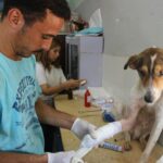 Elementor #771 pexels-ahmed-hamed-2980359-7008099